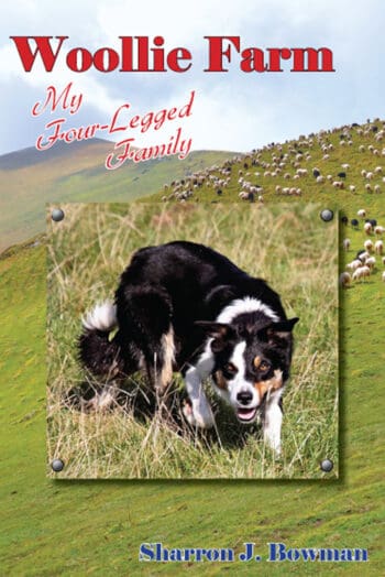Woollie Farm: My Four-Legged Family