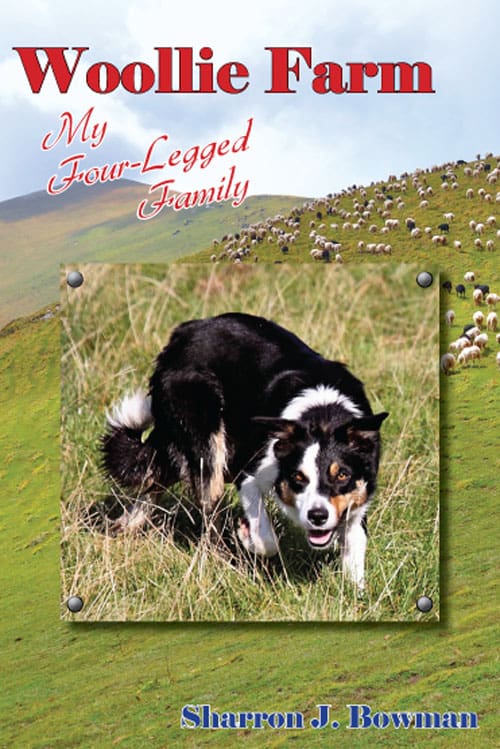 Woollie Farm: My Four-Legged Family