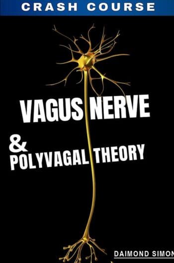 Vagus Nerve And The Polyvagal Theory