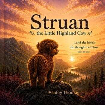 Struan The Little Highland Cow