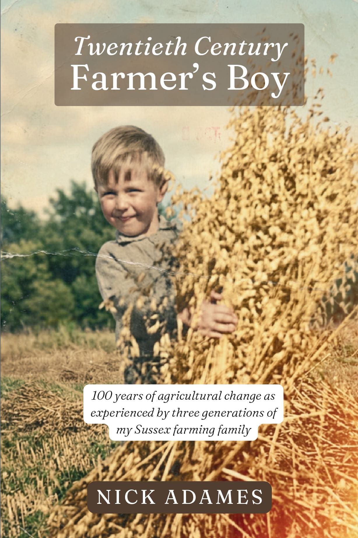 20th Century Farmer's Boy