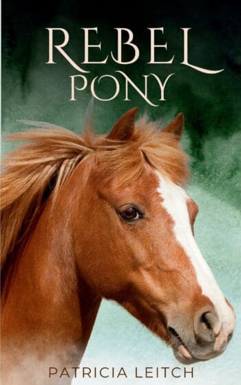 Rebel Pony