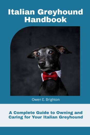 Italian Greyhound Handbook