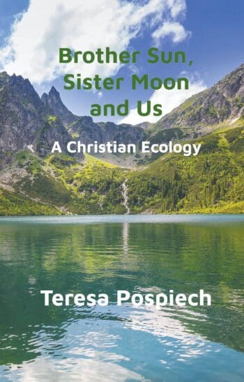 Brother Sun, Sister Moon and Us. A Christian Ecology