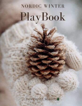 Nordic Winter PlayBook