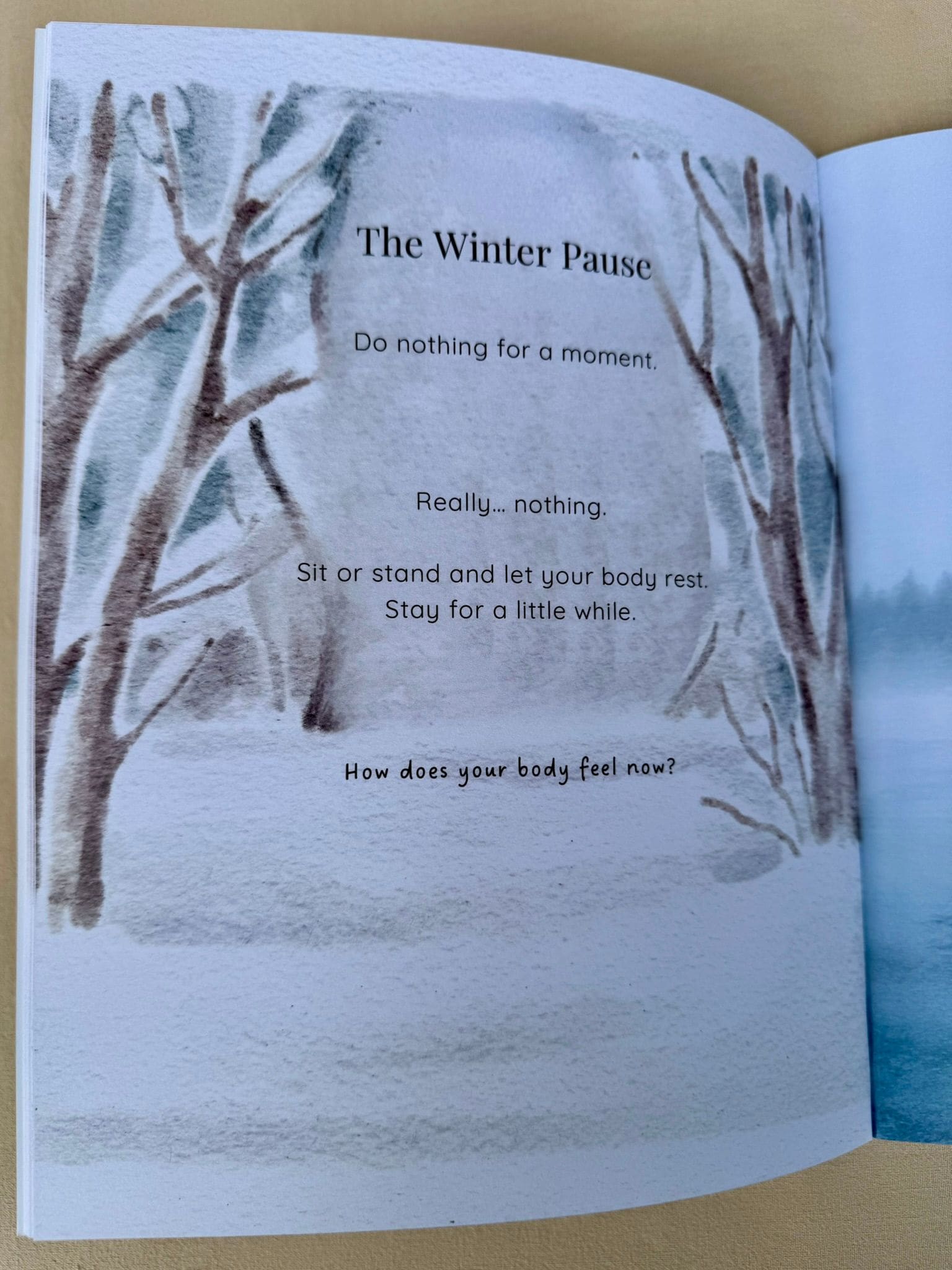 Nordic Winter PlayBook