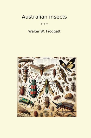 Australian insects