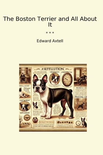 The Boston Terrier and All About It