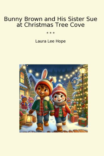 Bunny Brown and His Sister Sue at Christmas Tree Cove
