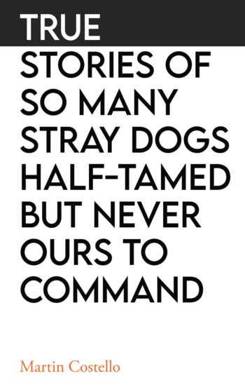 True Stories Of So Many Stray Dogs Half-Tamed But Never Ours To Command