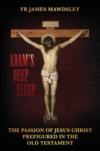 Adam's Deep Sleep