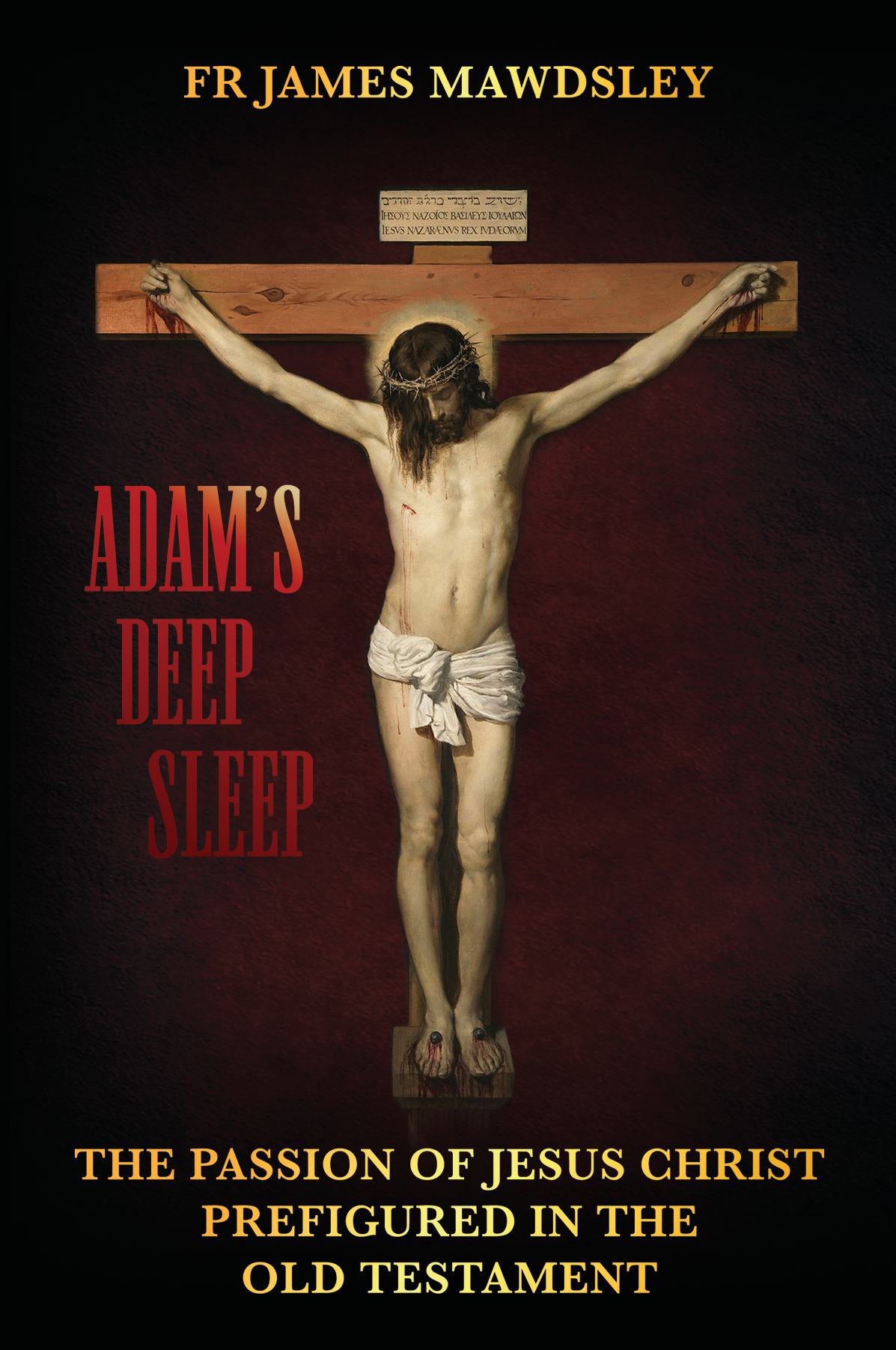 Adam's Deep Sleep