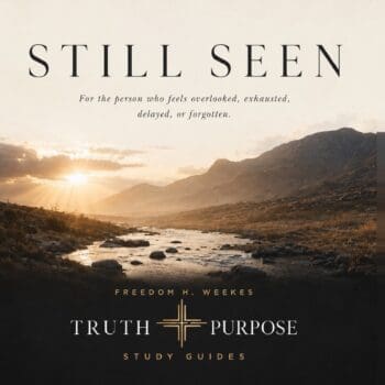 Still Seen