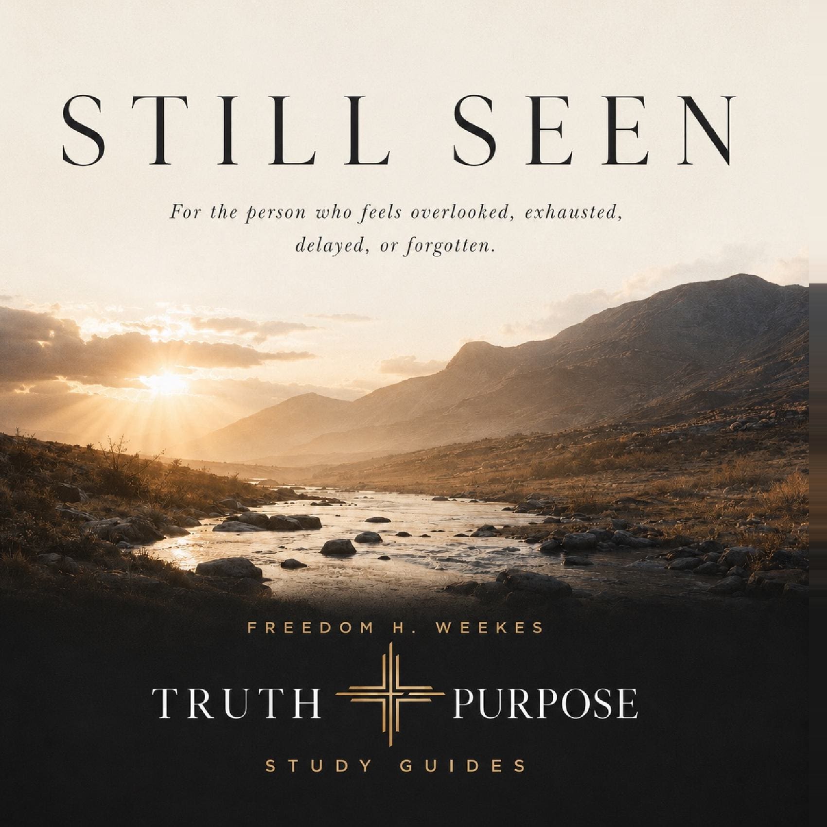 Still Seen