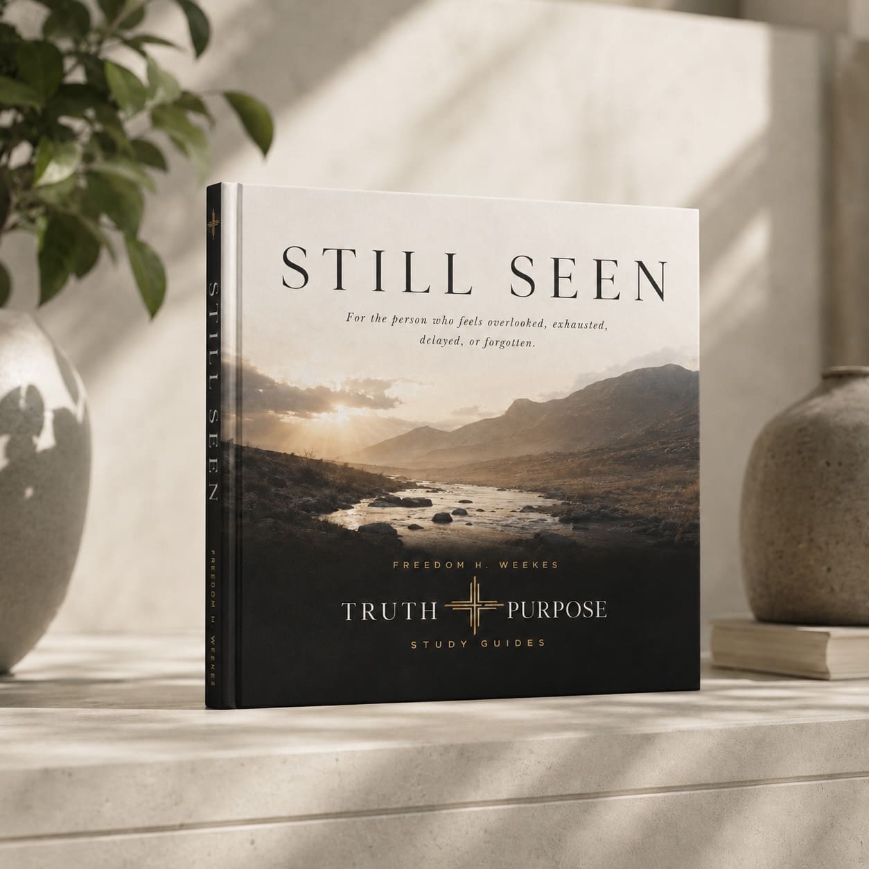 Still Seen