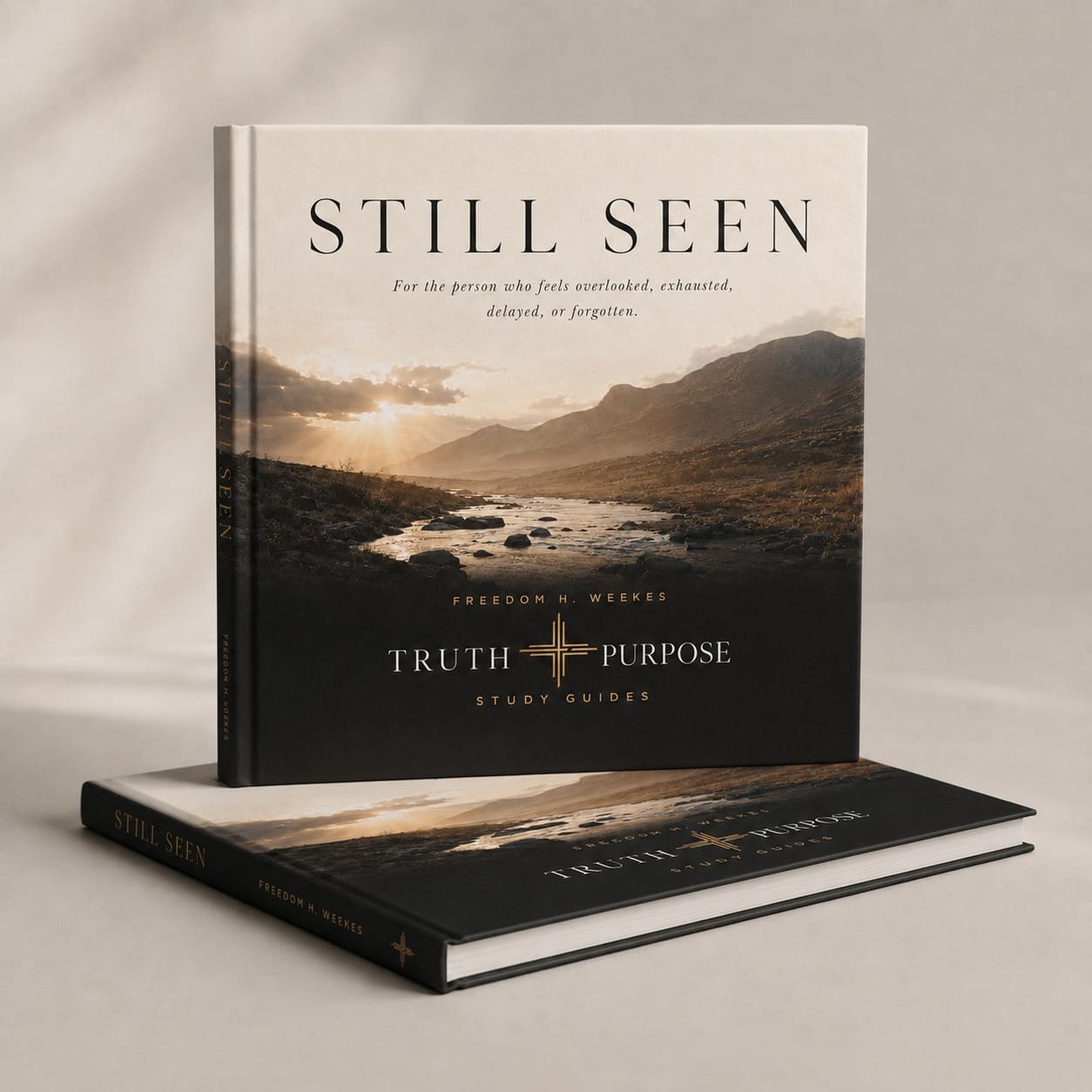 Still Seen