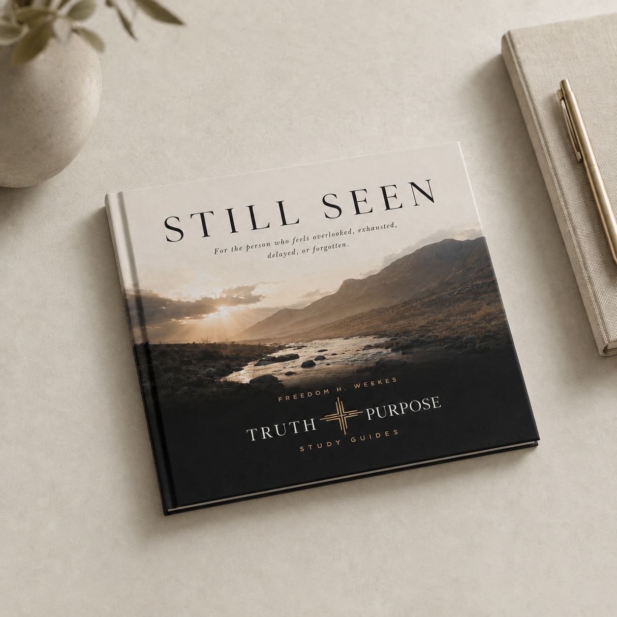 Still Seen
