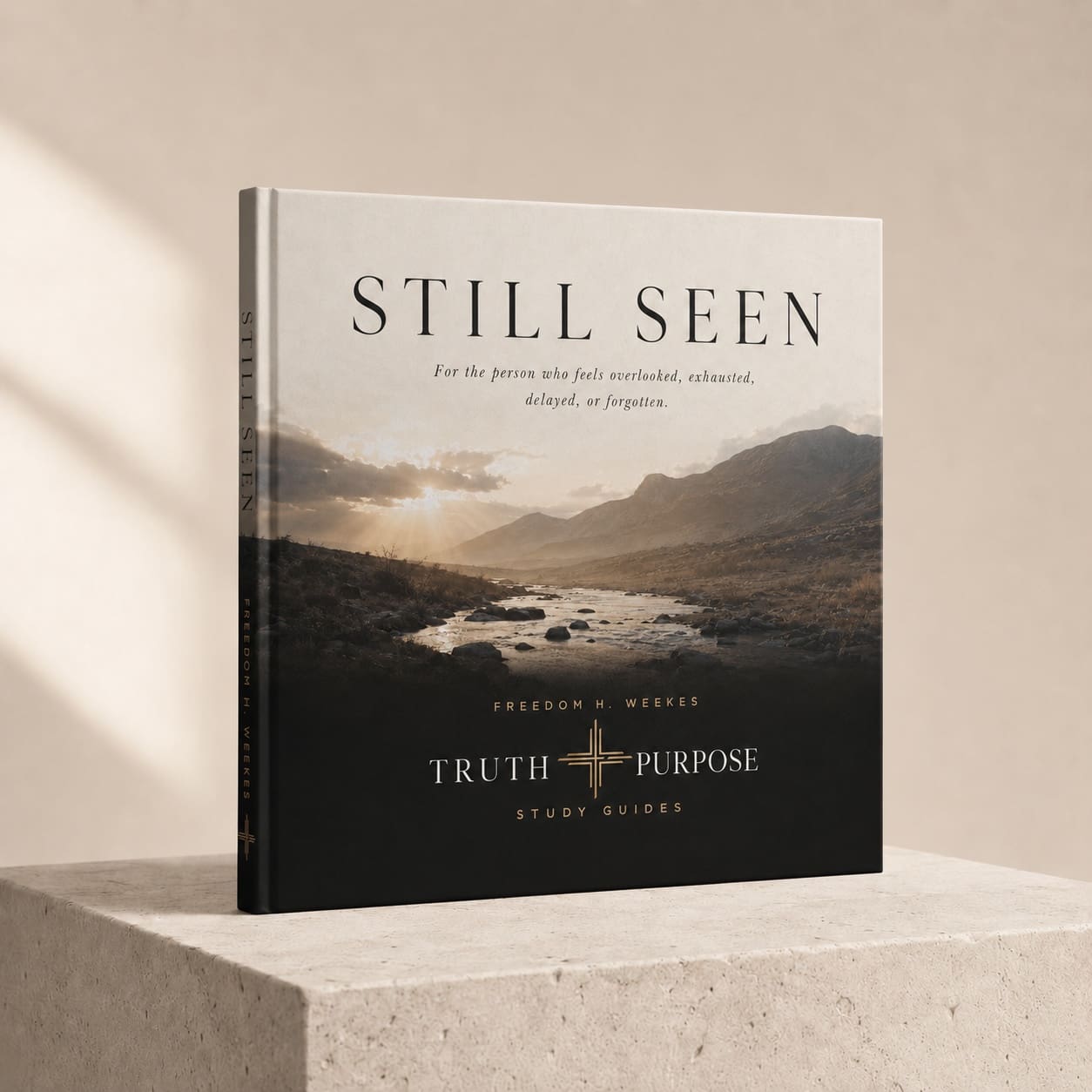 Still Seen