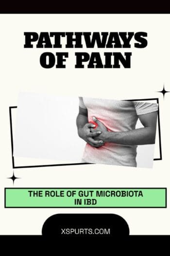 Pathways of Pain