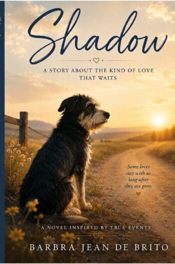 Shadow A Story About the Kind of Love That Waits