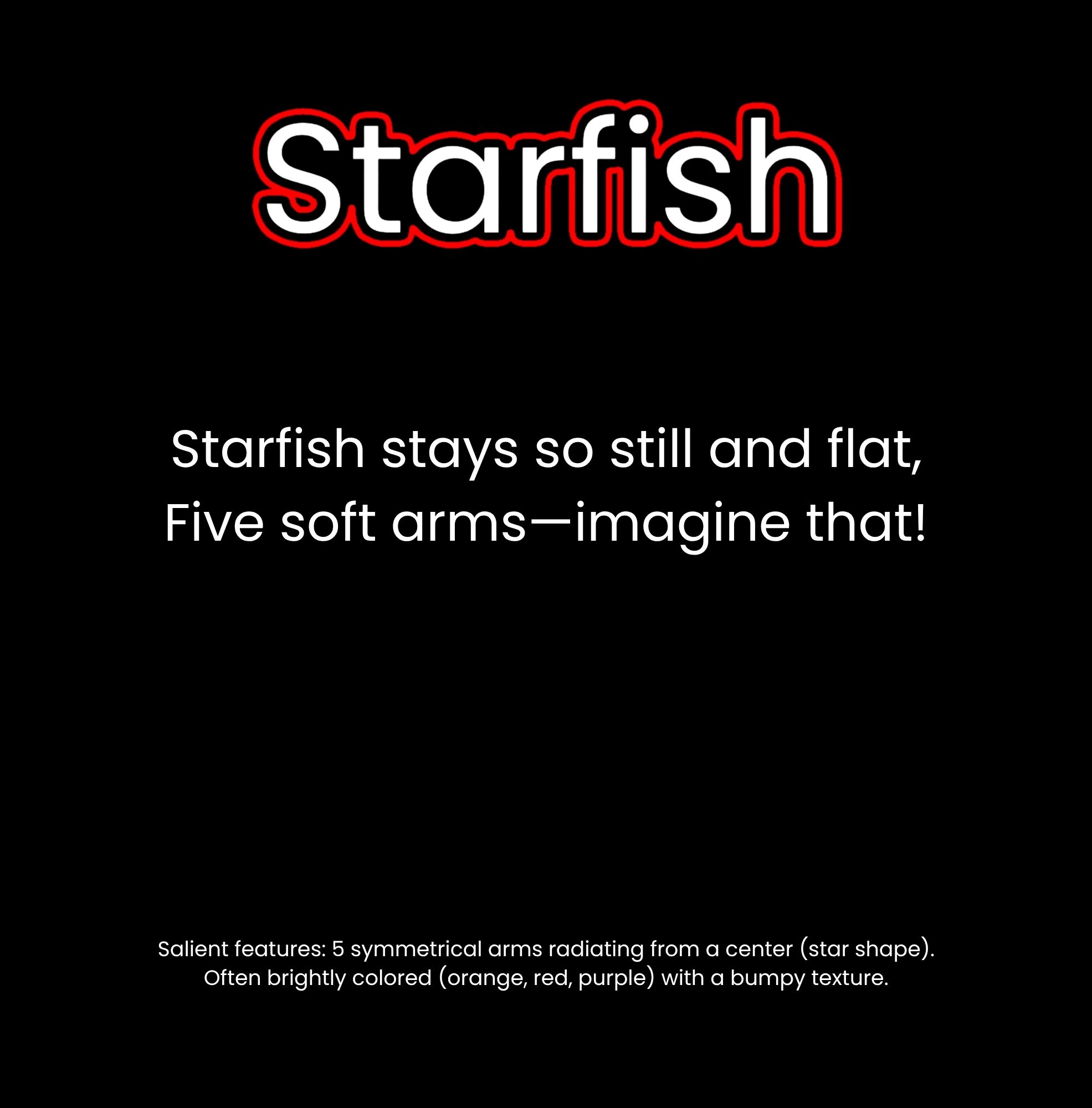 What Lives in the Ocean?