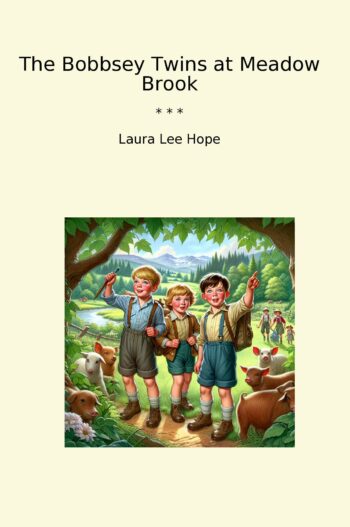 The Bobbsey Twins at Meadow Brook