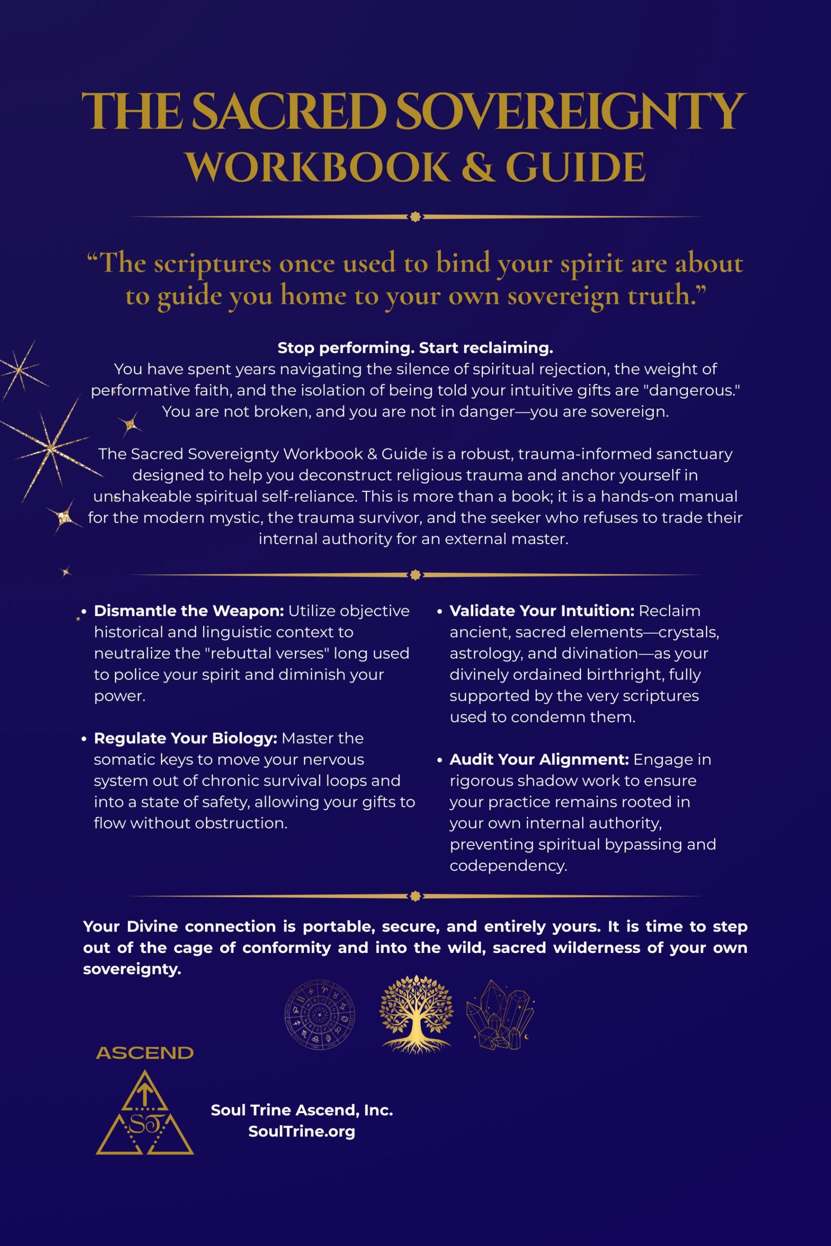 The Sacred Sovereignty Workbook & Guide