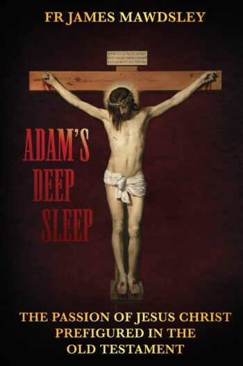 Adam's Deep Sleep