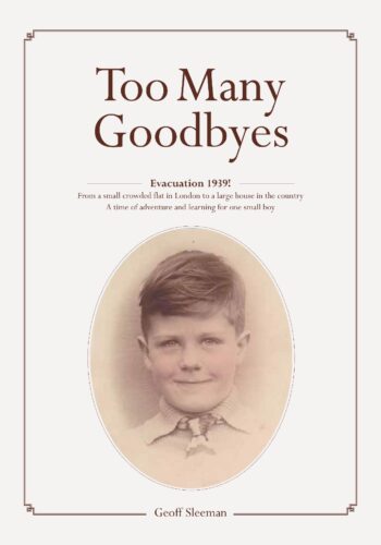 Too Many Goodbyes