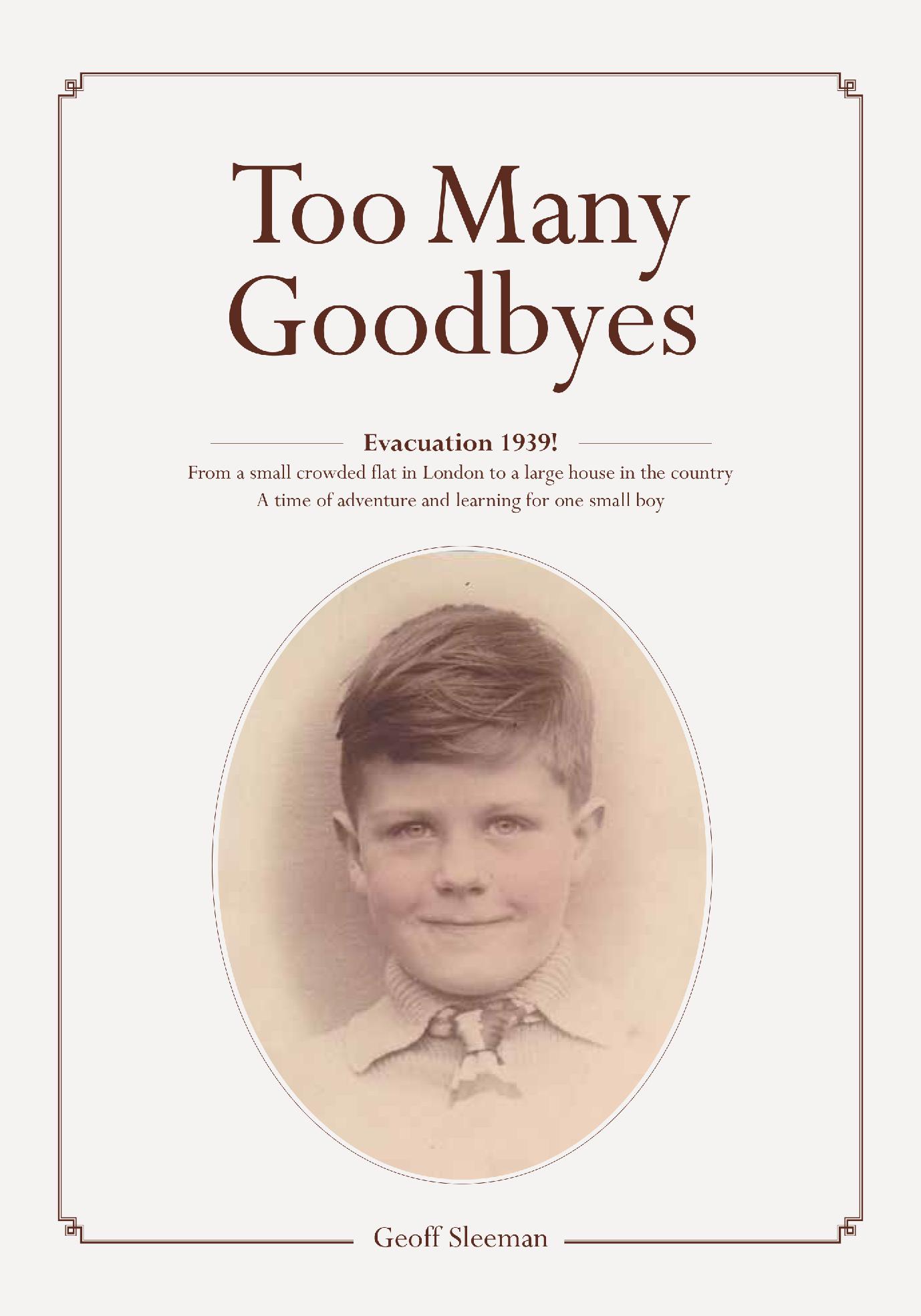 Too Many Goodbyes
