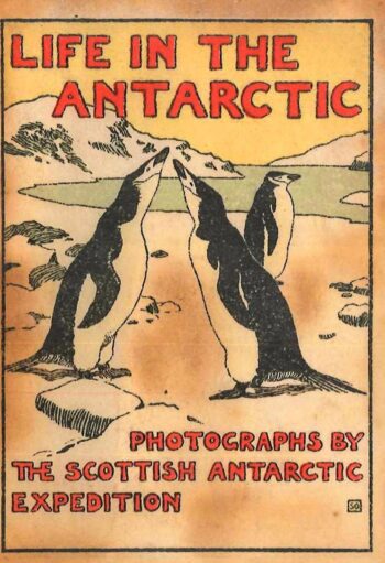 Life in The Antarctic