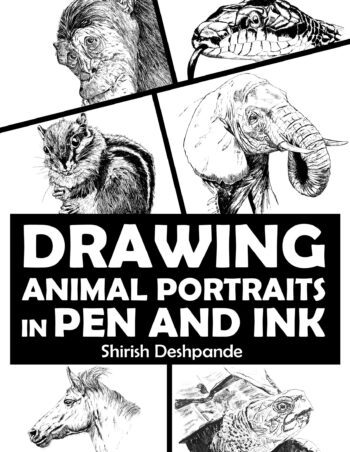 Drawing Animal Portraits in Pen and Ink