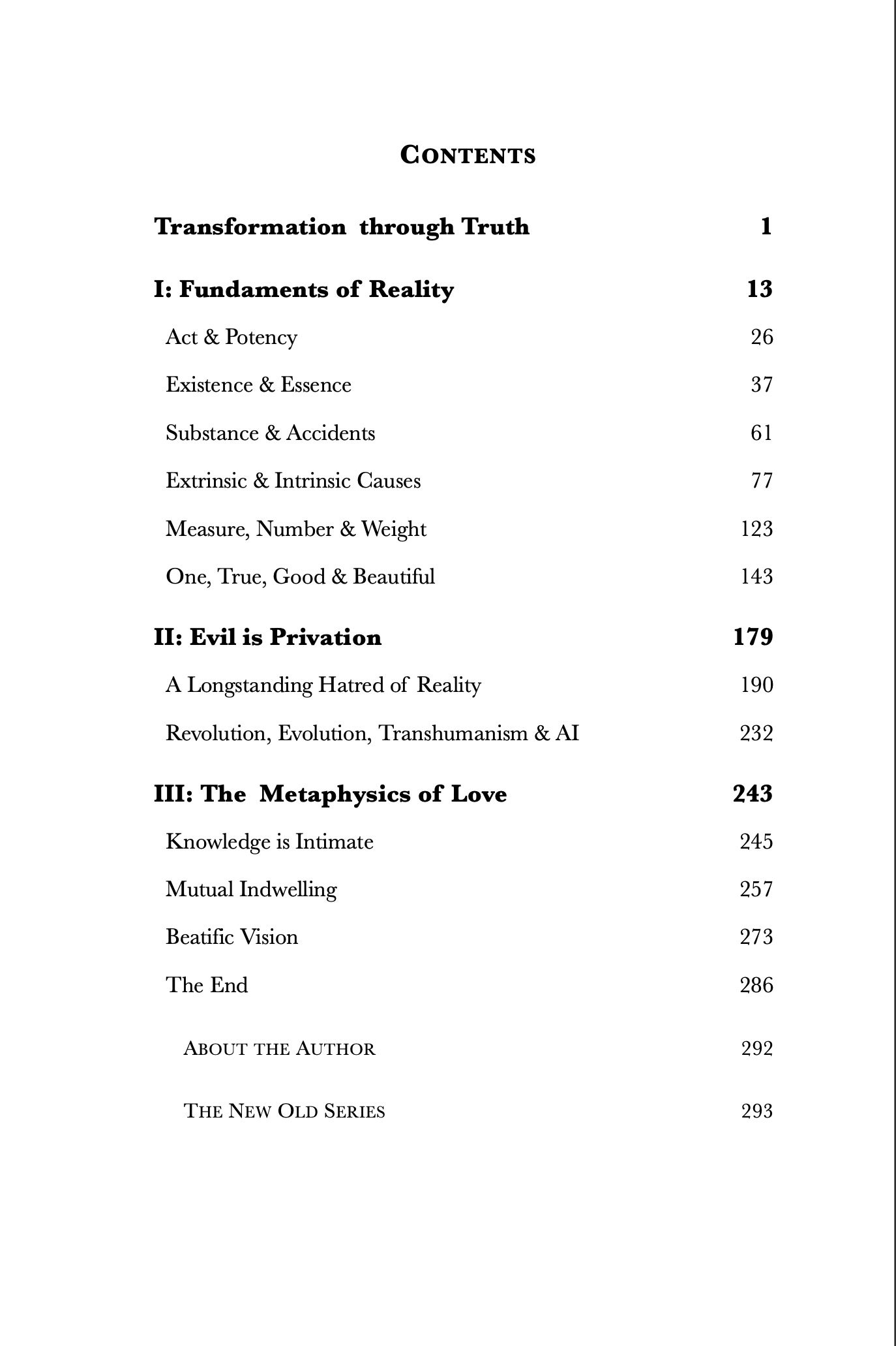 The Metaphysics of Love